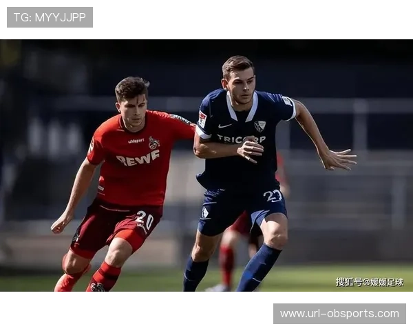 海登海姆客场低迷难求胜 霍芬海姆坐镇主场占尽先机 海登海姆客场低迷难求胜 霍芬海姆坐镇主场占尽先机